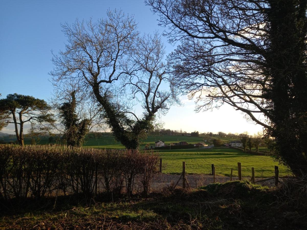 Derrywilligan Guest Accommodation Bessbrook Luaran gambar